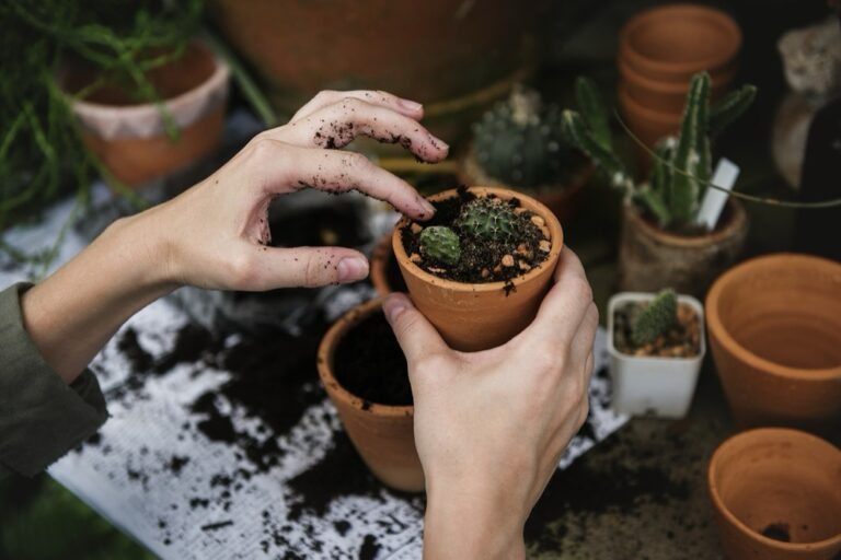 7 Seasonal Gardening Strategies for Limited Spaces: Maximize Every Inch