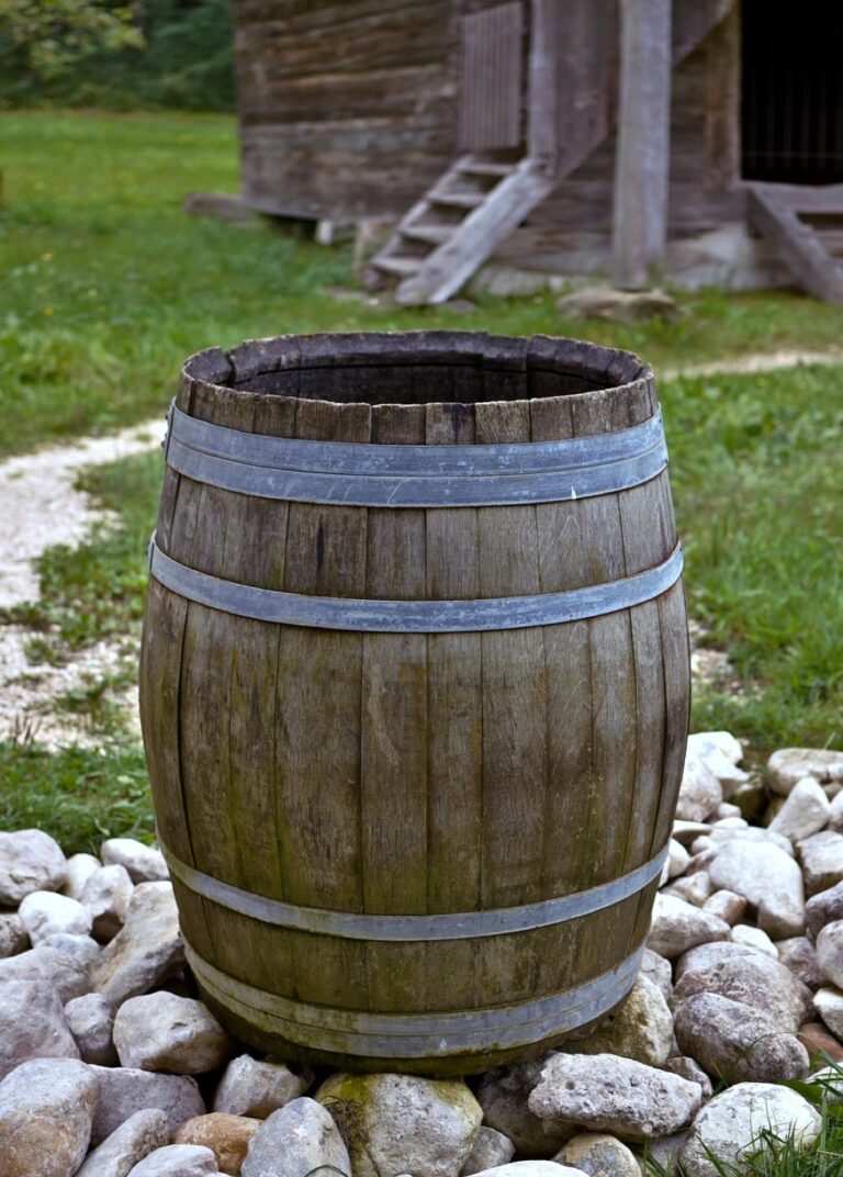 7 Water Solutions for Different Climates in Tiny Homes: Support Self-Reliance