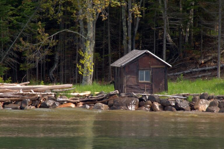 5 Best Water Storage Solutions for Extended Boondocking That Enable True Freedom