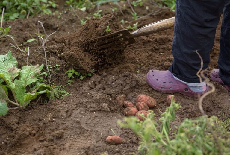 7 Ways to Build Resilience in Alternative Housing: Support Self-Reliance