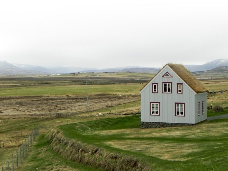 7 Roof Damage Prevention Strategies for Tiny Homes That Secure Your Freedom