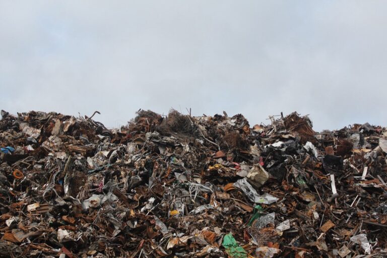7 Tips for Navigating RV Dump Station Etiquette Nomads Swear By