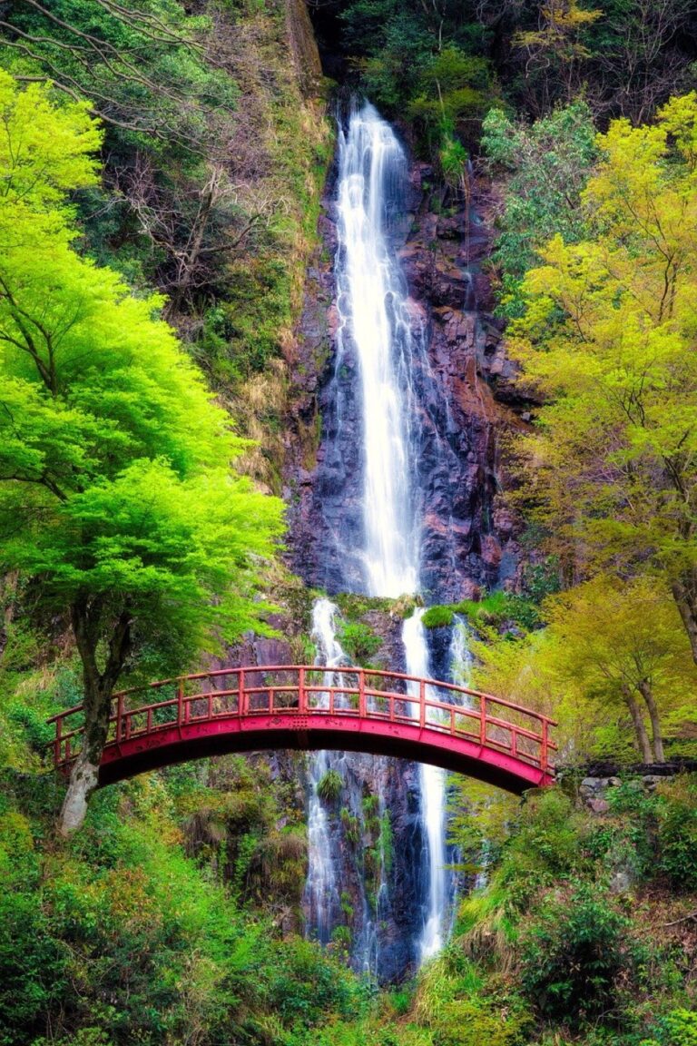7 Innovative Ways to Monitor Water Usage While Traveling: Save Every Drop