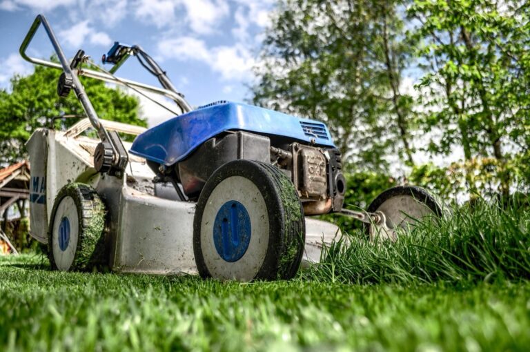 7 Budget-Friendly Tips for Garden Maintenance That Save Without Sacrifice