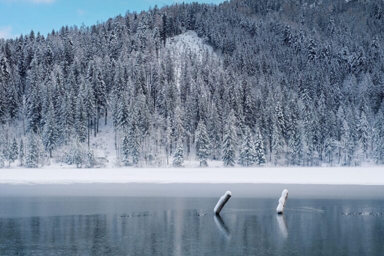 7 Water Conservation Strategies During Cold Snaps: Protect Pipes & Planet