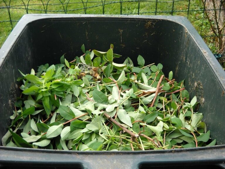 7 Steps to Install a Composting Toilet Off-Grid: Live Waste-Free Anywhere