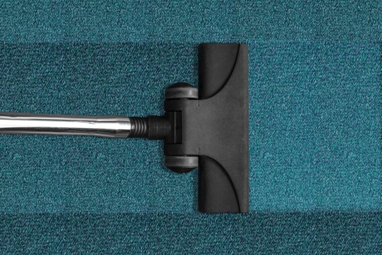 5 Best Pet-Friendly Cleaning Supplies for Homes That Protect Furry Friends
