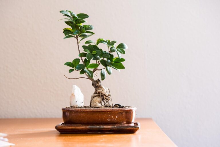 7 Best Quiet Generators for Off-Grid Living That Preserve Nature’s Peace
