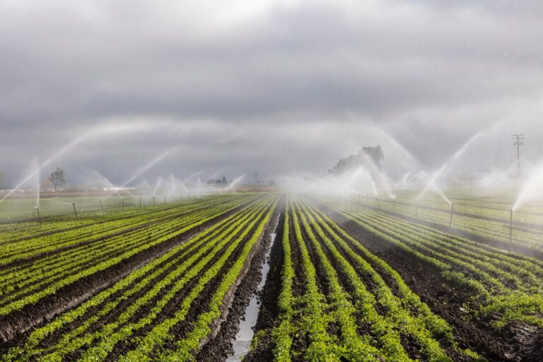 7 Best Greywater Systems for Mobile Homesteading That Enable True Freedom