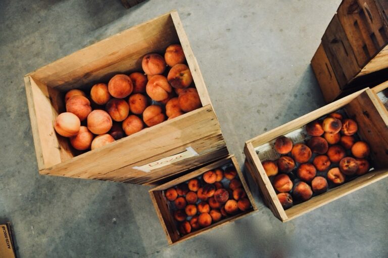 7 Best Storage Solutions for Small Tool Collections | Maximize Every Inch