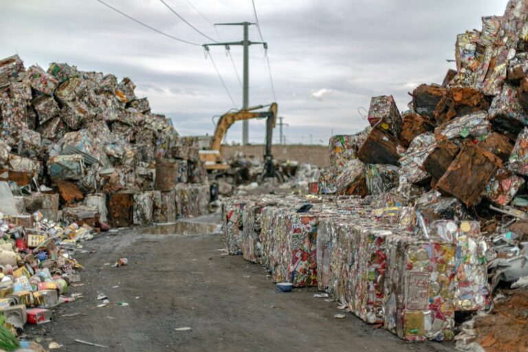 7 Waste Disposal Tips for Eco-Conscious Travelers: Protect Paradise