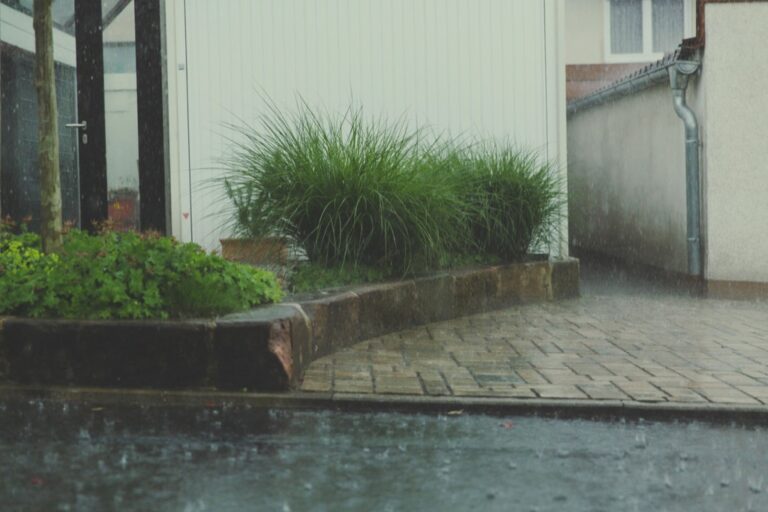 7 Best Practices for Rainwater Collection in Tiny Houses to Save Every Drop