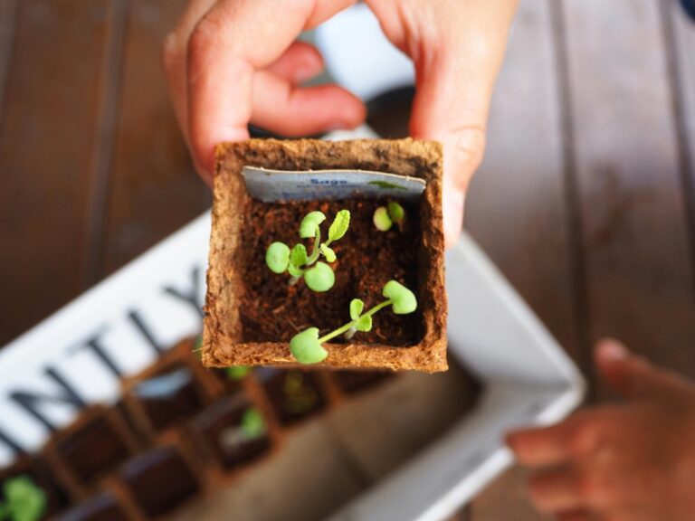 10 Container Gardening Ideas for Small Spaces: Maximize Every Inch
