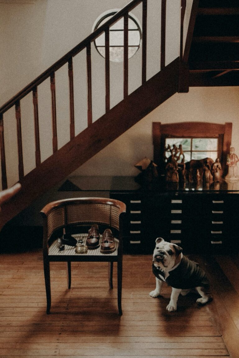 7 Best Multipurpose Furniture Ideas for Pet Owners That Declutter Your Life