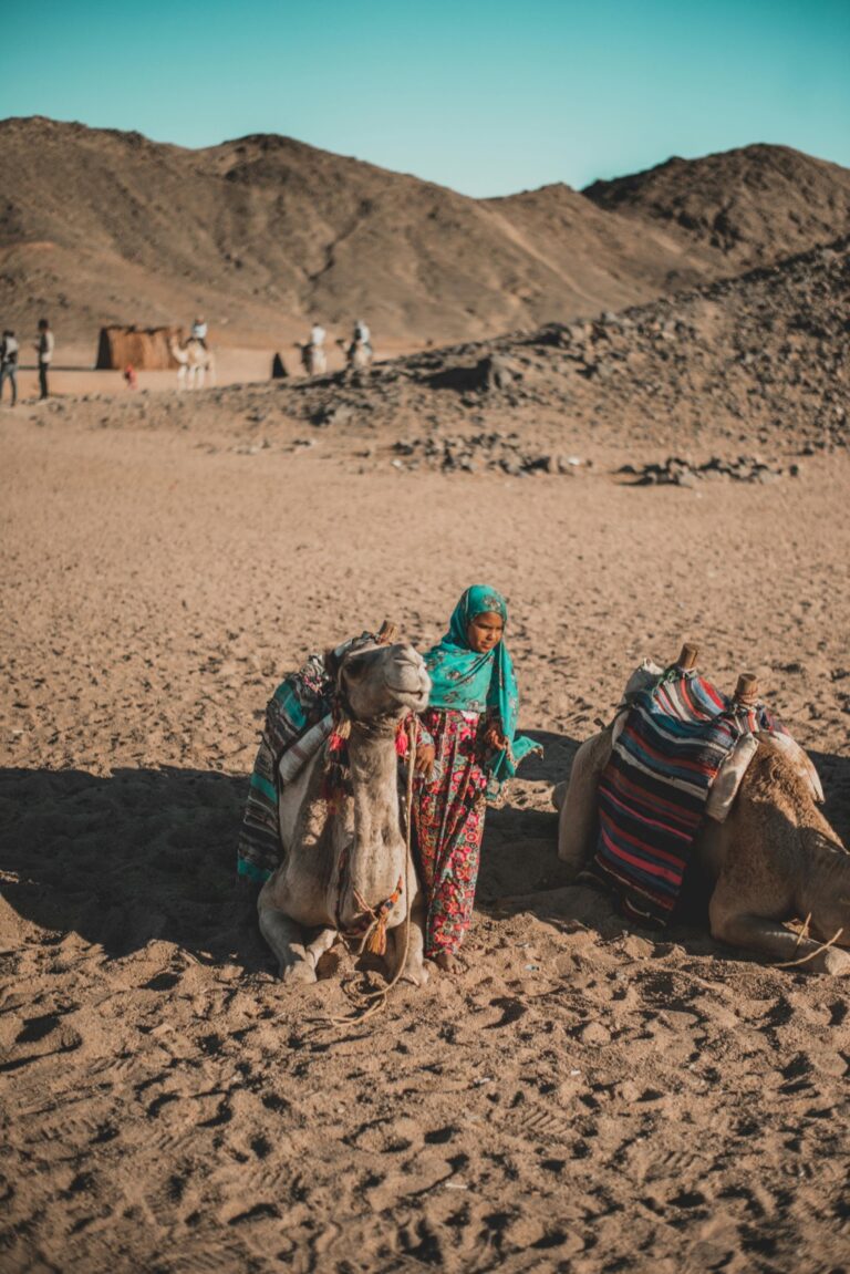 7 Alternative Methods for Drying Clothes While Traveling That Nomads Swear By
