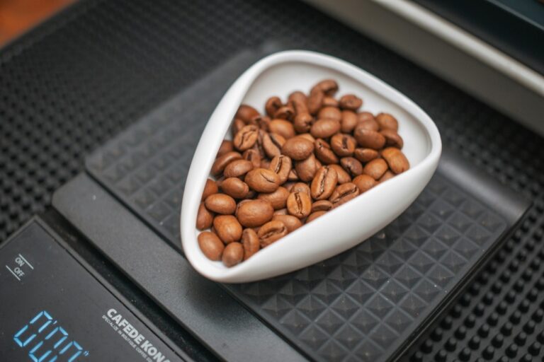 7 Solutions for Minimizing Cooking Smells That Keep Your Home Fresh