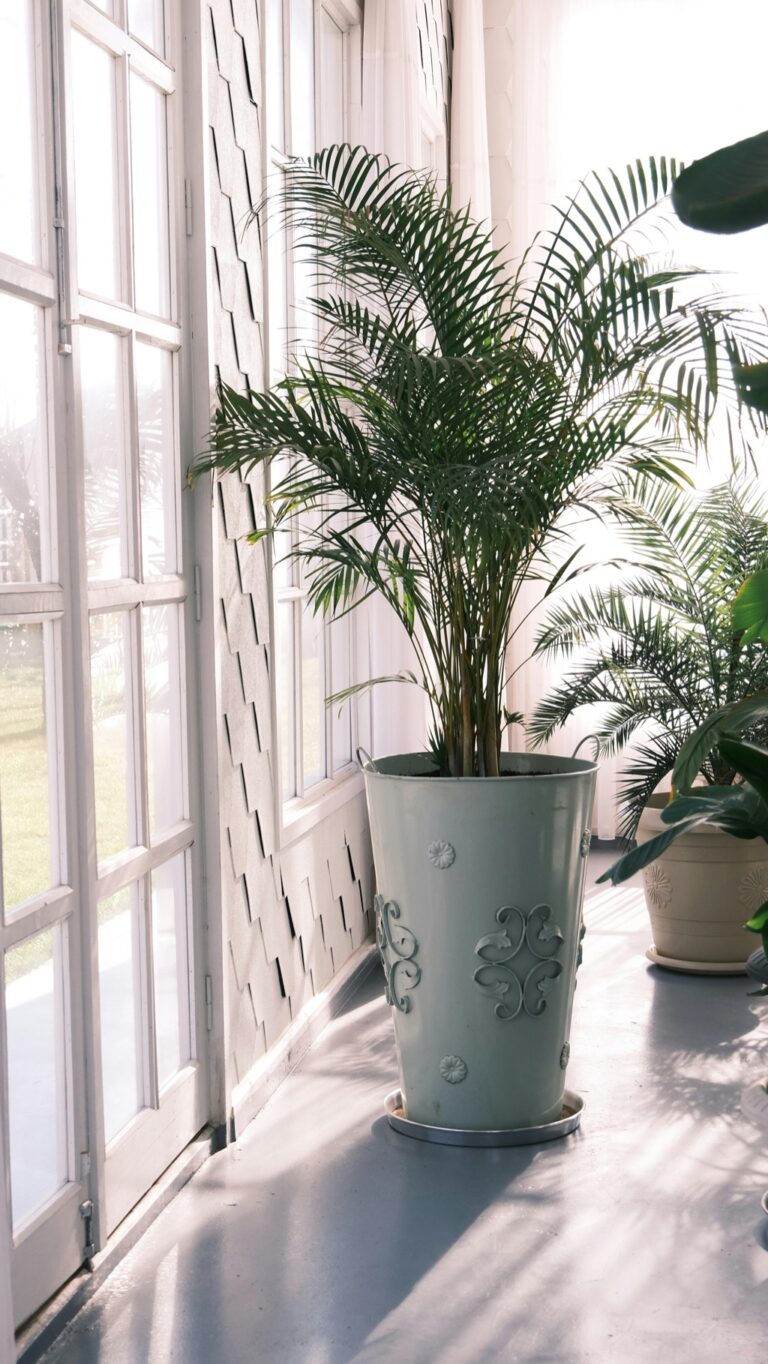 7 Ways to Maximize Natural Light in Compact Spaces That Transform Any Room