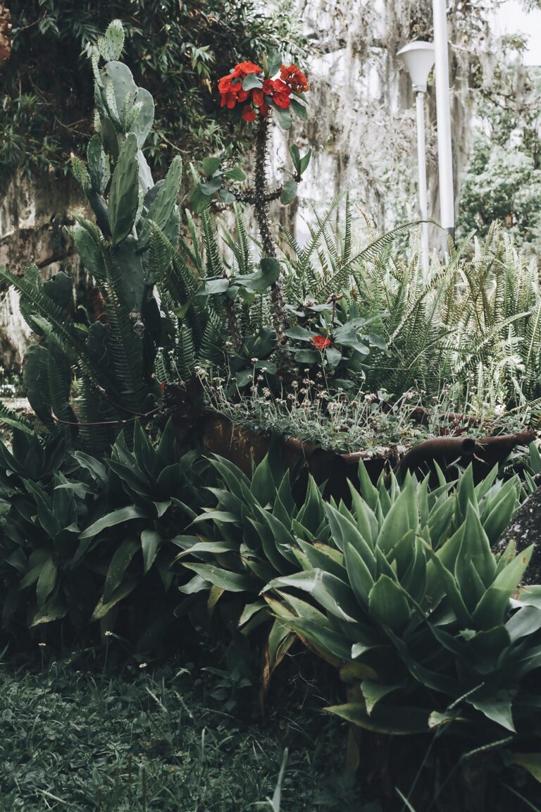 7 Best Techniques for Outdoor Living Noise Reduction That Create Backyard Serenity