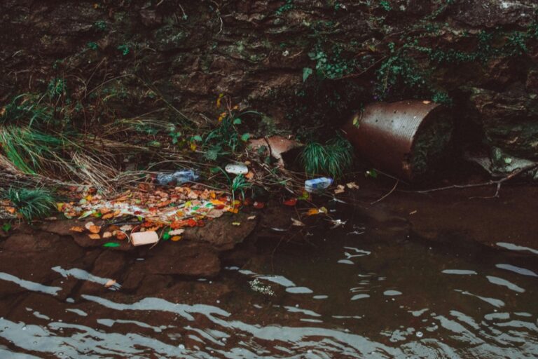 7 Best Greywater Practices for Off-Grid Living That Maximize Sustainability