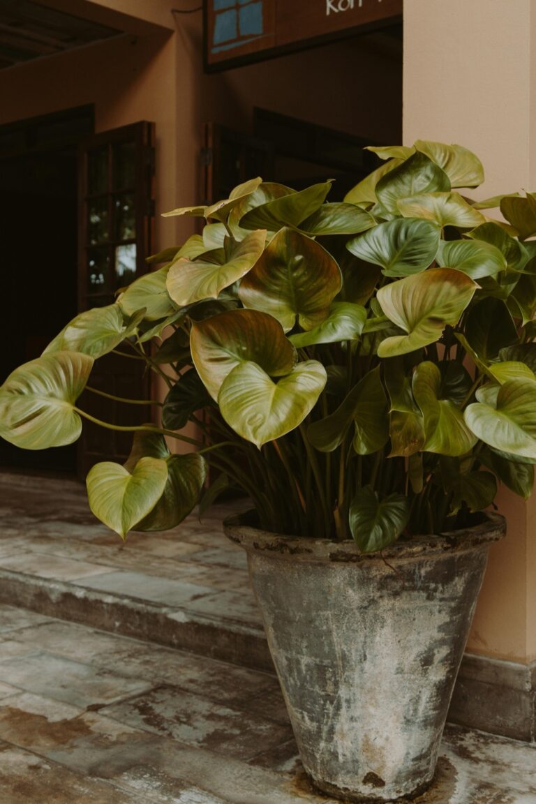 7 Ideas for Using Natural Materials in Outdoor Decor That Transform Spaces