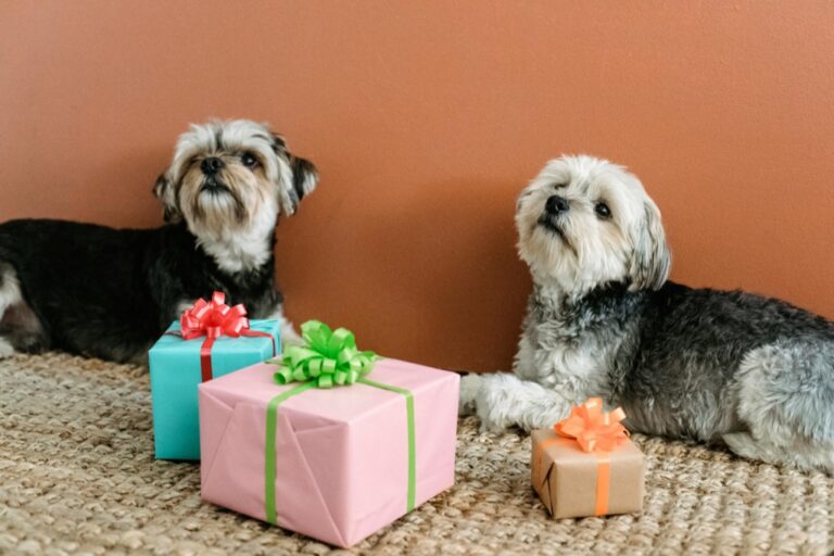 7 Compact Gift Wrapping Ideas for Tiny Homes That Maximize Every Inch