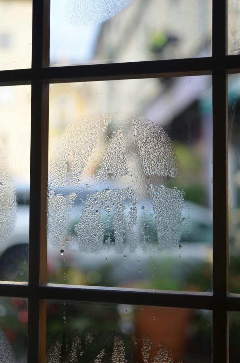 7 Best Moisture Barriers for Tiny Homes Compared: Protect Your Investment