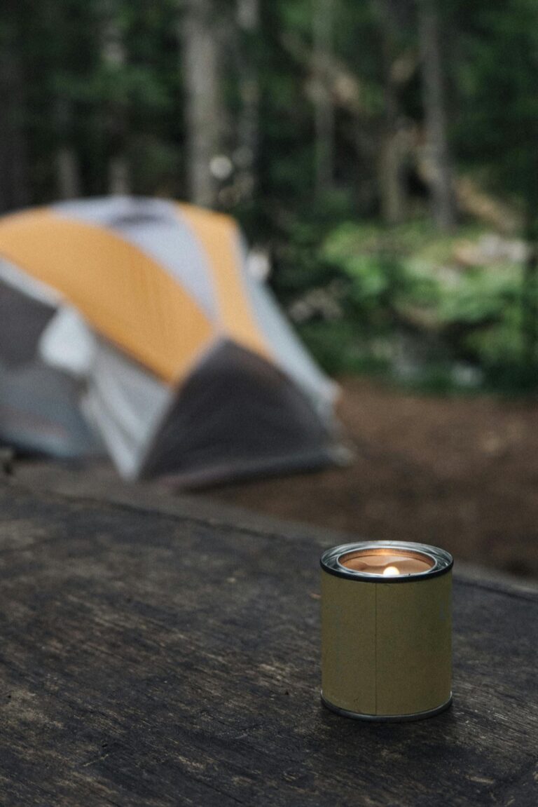 5 Best Propane Heaters for Camping That Guarantee Cozy Adventures