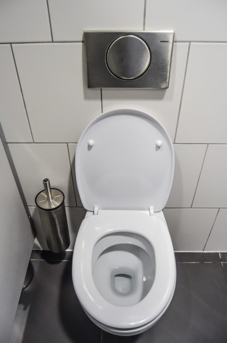 7 Tips for Choosing the Best Composting Toilet System That Support Self-Reliance