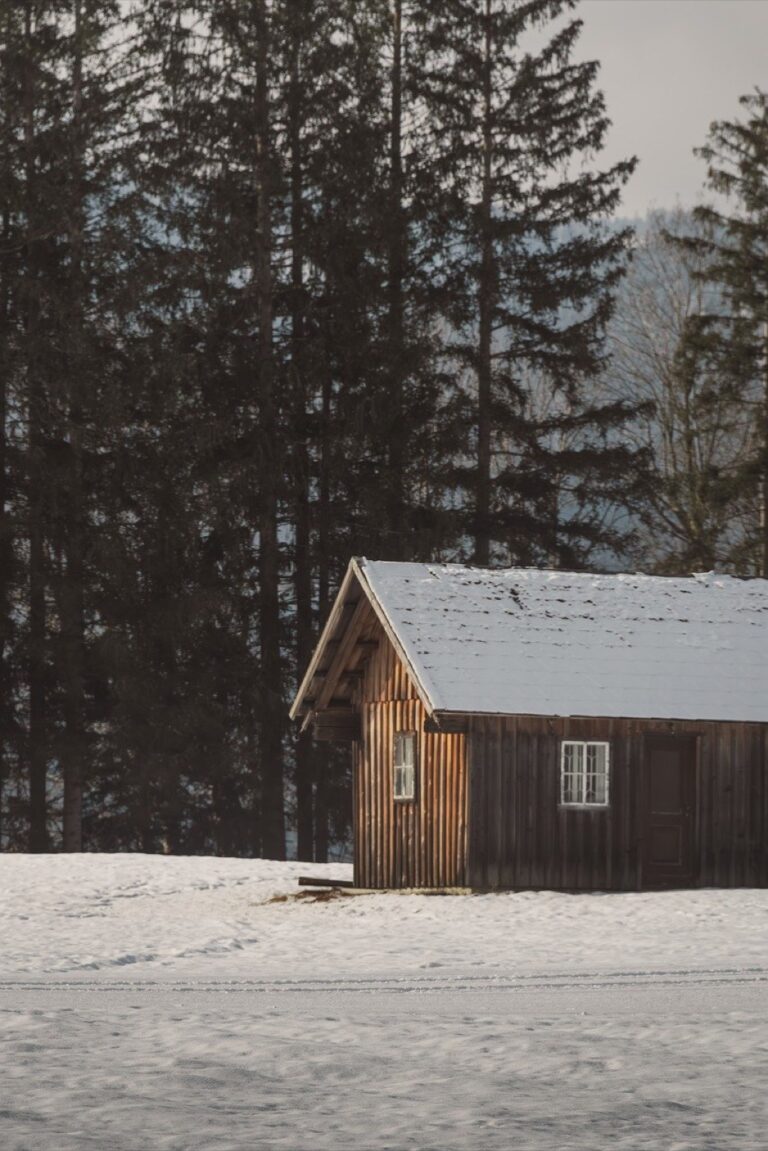 7 Tips for Finding Tranquility in Shared Camping Spaces That Restore Inner Peace