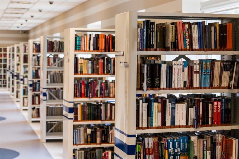 7 Minimalist Book Collection Strategies for Tiny Living That Maximize Every Inch
