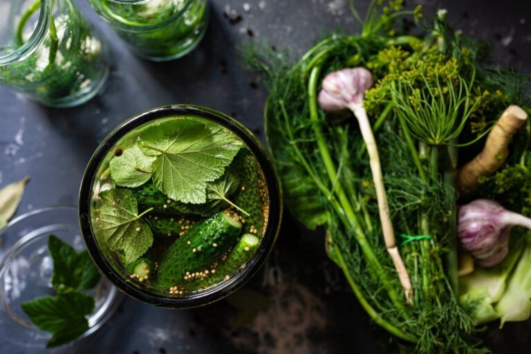 7 Herbs for Food Preservation in Small Spaces That Maximize Every Inch
