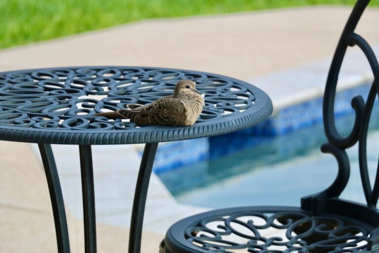 7 Best Outdoor Furniture Storage Solutions That Maximize Every Inch