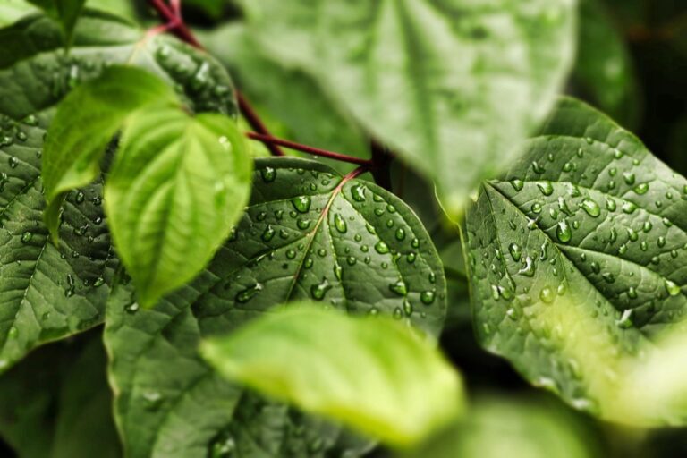 7 Ways to Maximize Water Efficiency in Small Spaces That Cut Bills