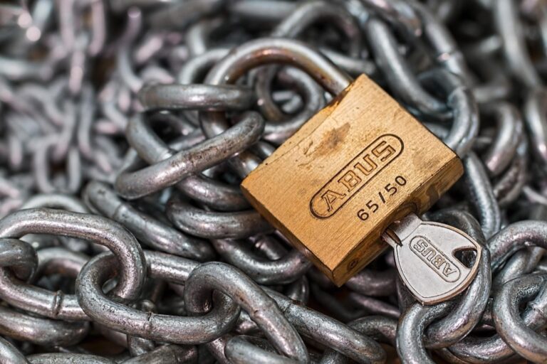 5 Best Locks for RV Doors That Nomads Swear By