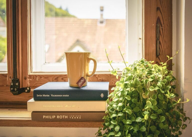 7 Window Sealing Strategies for Extreme Climates That Cut Energy Costs
