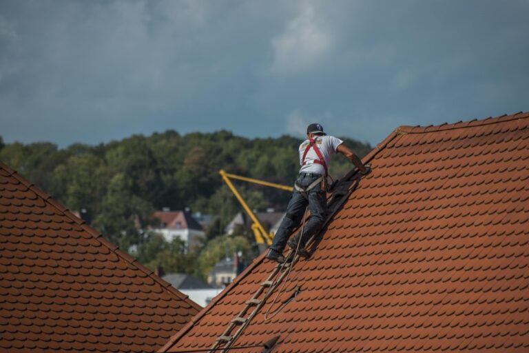 5 Ways to Repair Roof Damage from Tree Branches That Save Big