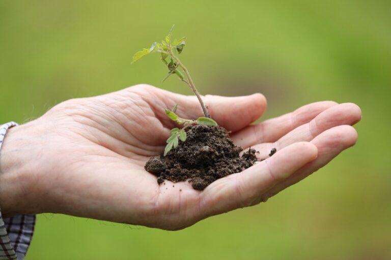 7 Best Gardening Apps for Limited Space Planning That Maximize Every Inch