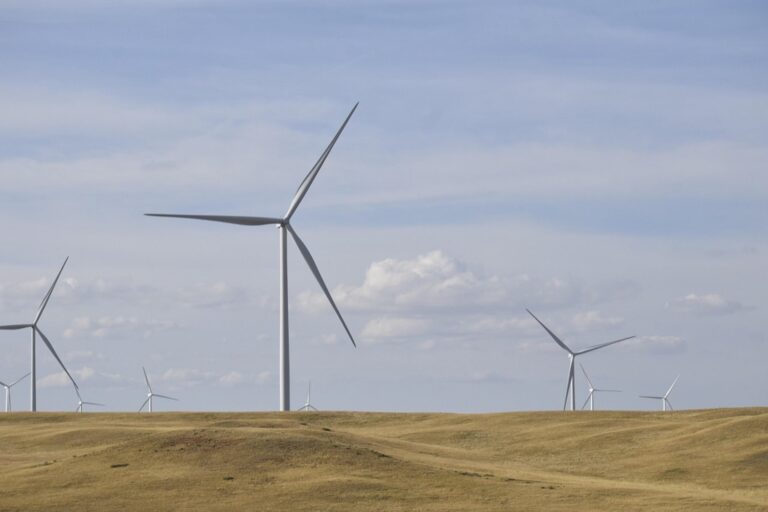 7 Best Eco-Friendly Battery Monitoring Solutions That Support Self-Reliance