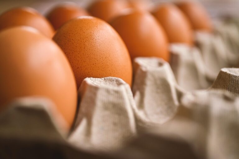 7 Best Food Storage Solutions for Off-Grid Living That Support Self-Reliance