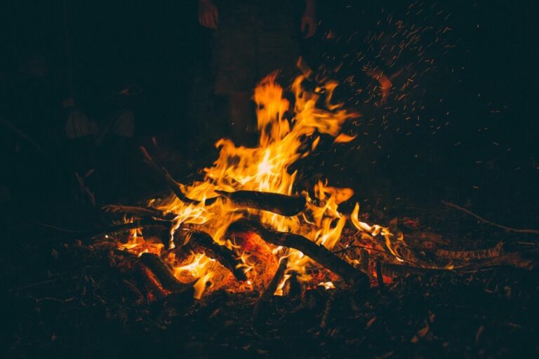 7 Unique Firewood Storage Ideas for Campsite Aesthetics That Transform Spaces