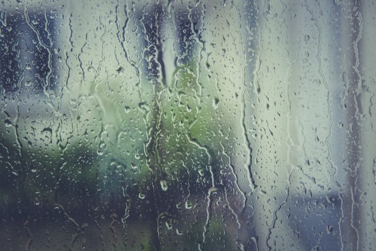 5 Seasonal Strategies for Effective Condensation Management That Save