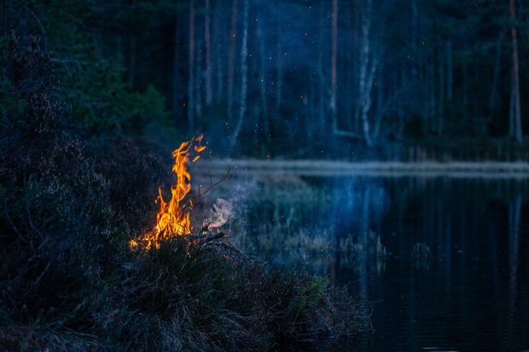 7 Ways to Find Water Sources While Boondocking That Support Self-Reliance