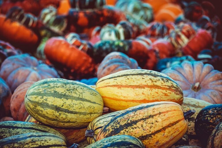 7 Tips for Seasonal Displays in Tiny Homes That Maximize Every Inch