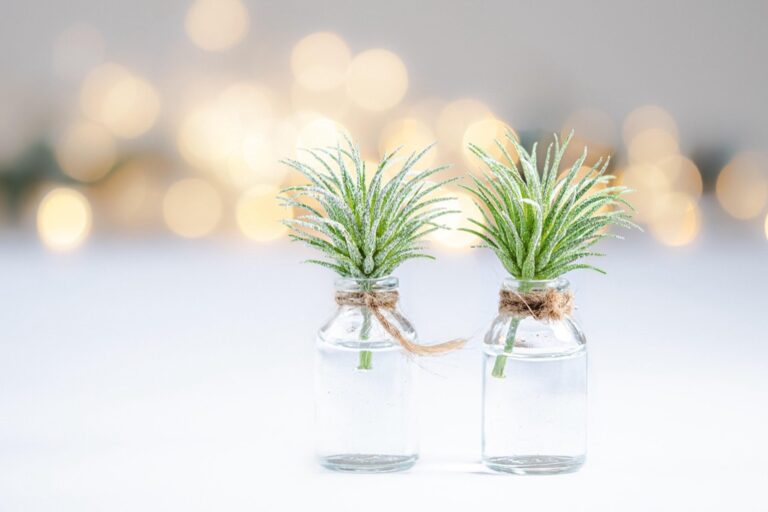 7 Ideas for Displaying Plants in Compact Living Areas That Maximize Every Inch
