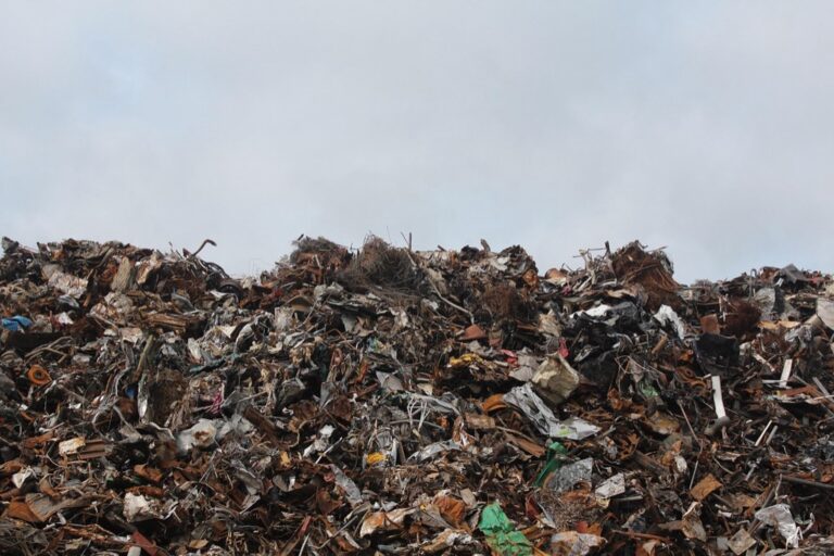 7 Steps to Build a Community Dump Station Sharing Network That Saves Money