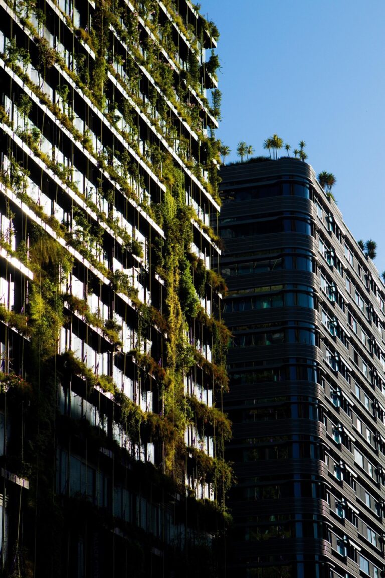 7 Ways to Utilize Outdoor Vertical Structures for Plants That Maximize Every Inch