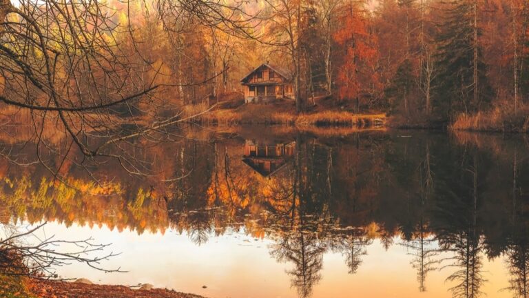 7 Best Water Pressure Solutions for Off-Grid Cabins That Support Self-Reliance