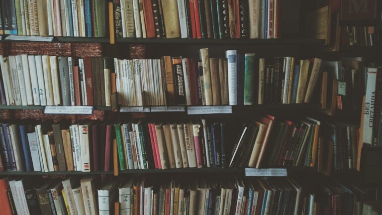 7 Ideas for Building a Small Home Entertainment Library That Maximize Every Inch