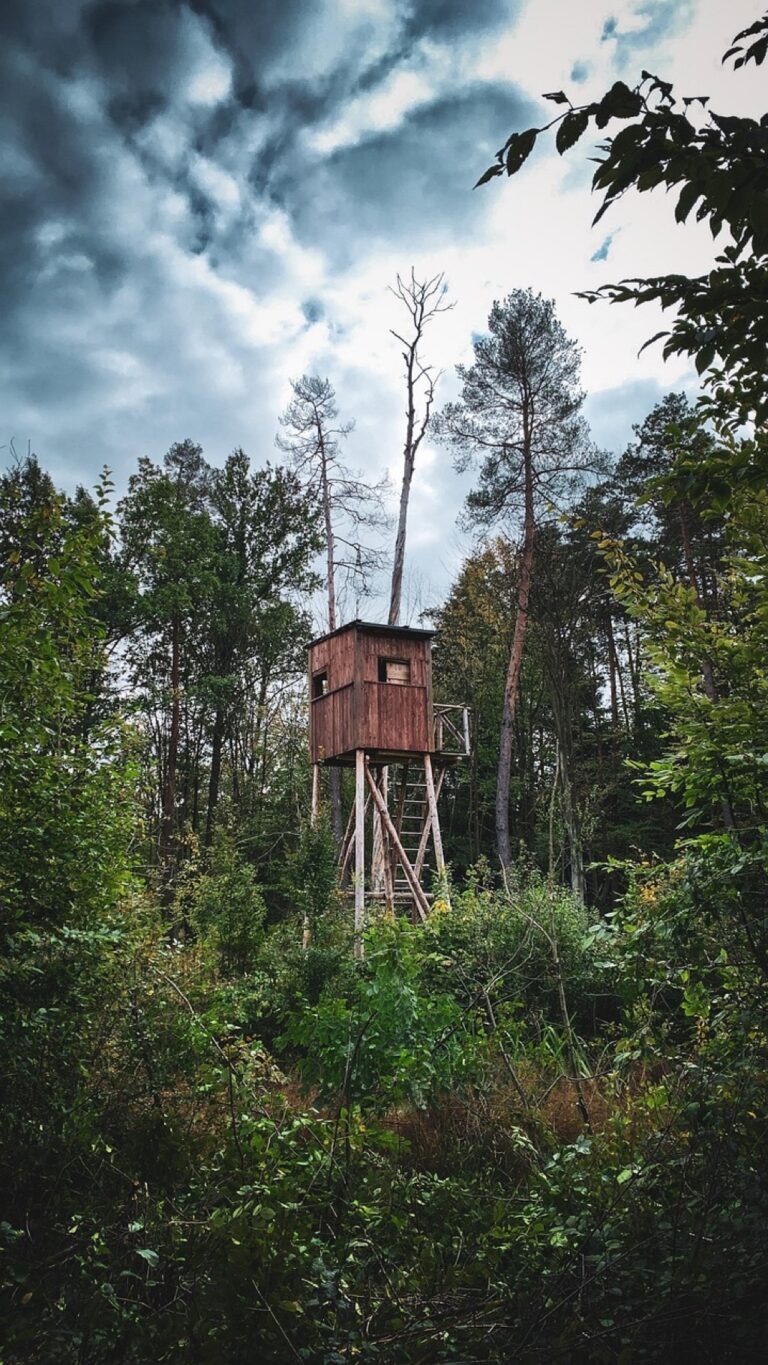 7 Tips for Setting Up a Mobile Water System That Support Self-Reliance