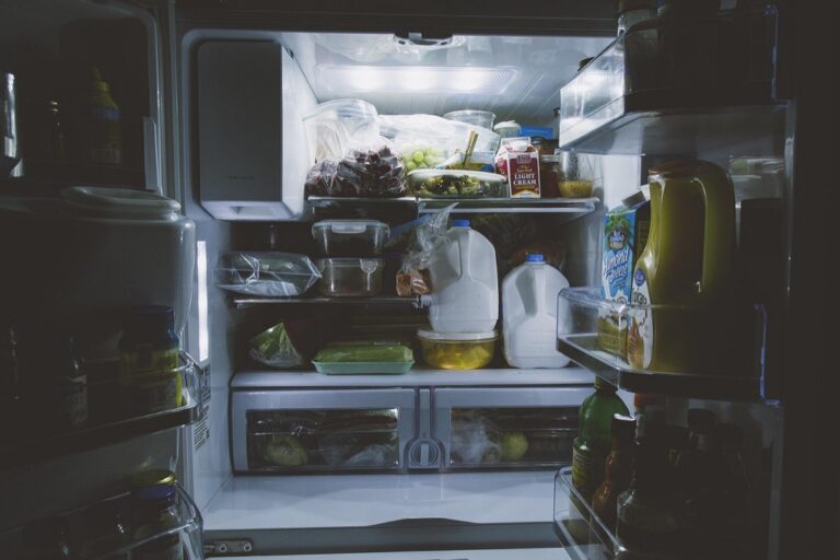 7 Best Off-Grid Refrigeration Options That Support Self-Reliance